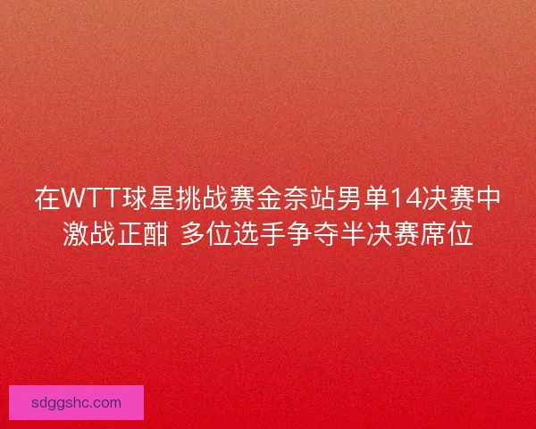 在WTT球星挑战赛金奈站男单14决赛中激战正酣 多位选手争夺半决赛席位 在WTT球星挑战赛金奈站男单14决赛中激战正酣 多位选手争夺半决赛席位