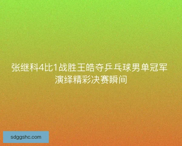 张继科4比1战胜王皓夺乒乓球男单冠军 演绎精彩决赛瞬间 张继科4比1战胜王皓夺乒乓球男单冠军 演绎精彩决赛瞬间