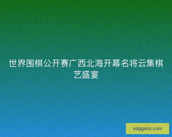 世界围棋公开赛广西北海开幕名将云集棋艺盛宴 世界围棋公开赛广西北海开幕名将云集棋艺盛宴