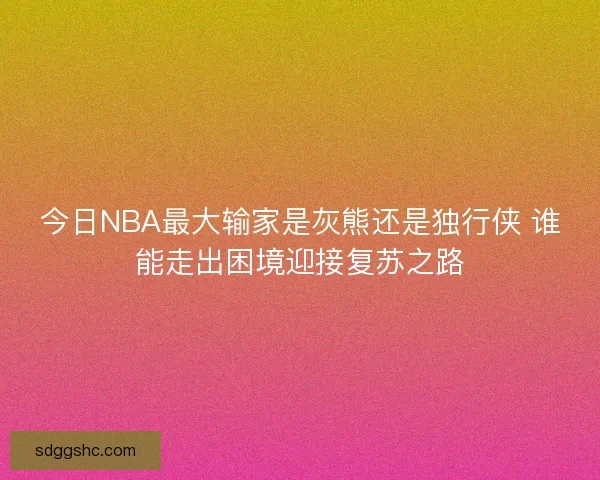 今日NBA最大输家是灰熊还是独行侠 谁能走出困境迎接复苏之路 今日NBA最大输家是灰熊还是独行侠 谁能走出困境迎接复苏之路